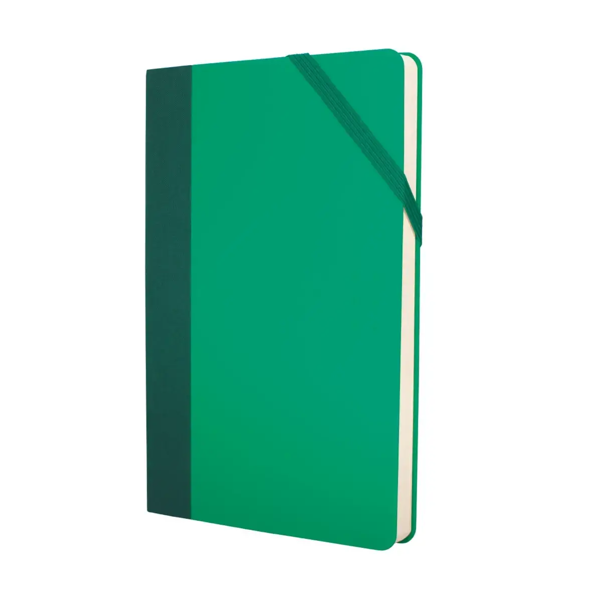 Carnet Paperbook moyen Colours vert, uni