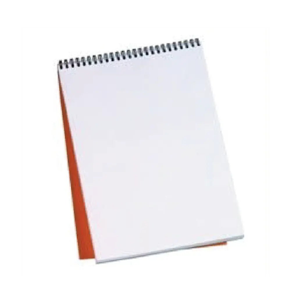 BLOC NOTE SPIRALE PETIT CARREAUX A4 ET A5